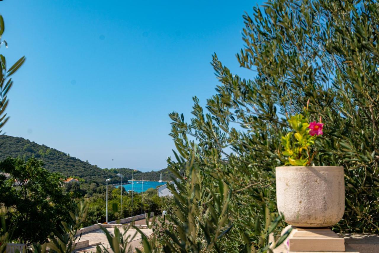 Villa Ana Zrnovo Eksteriør bilde